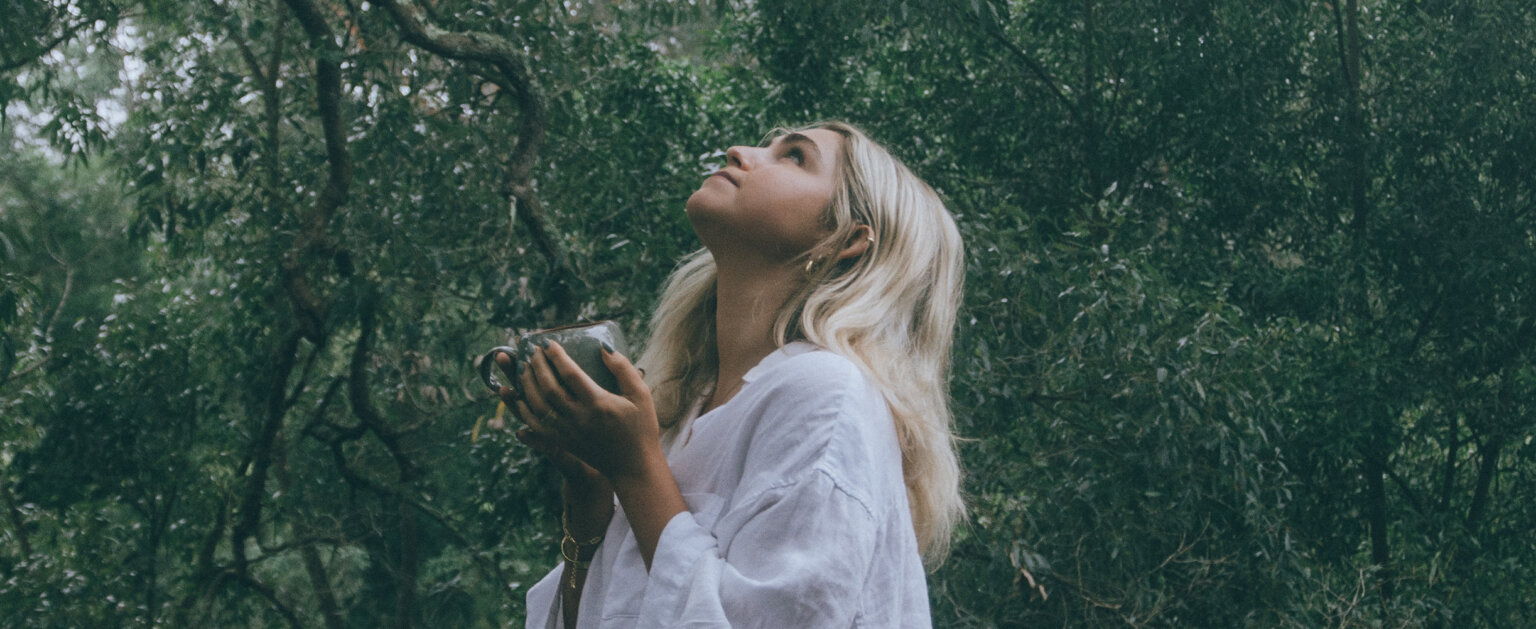 The Treehouse Bliss Properties Kangaroo Valley NSW