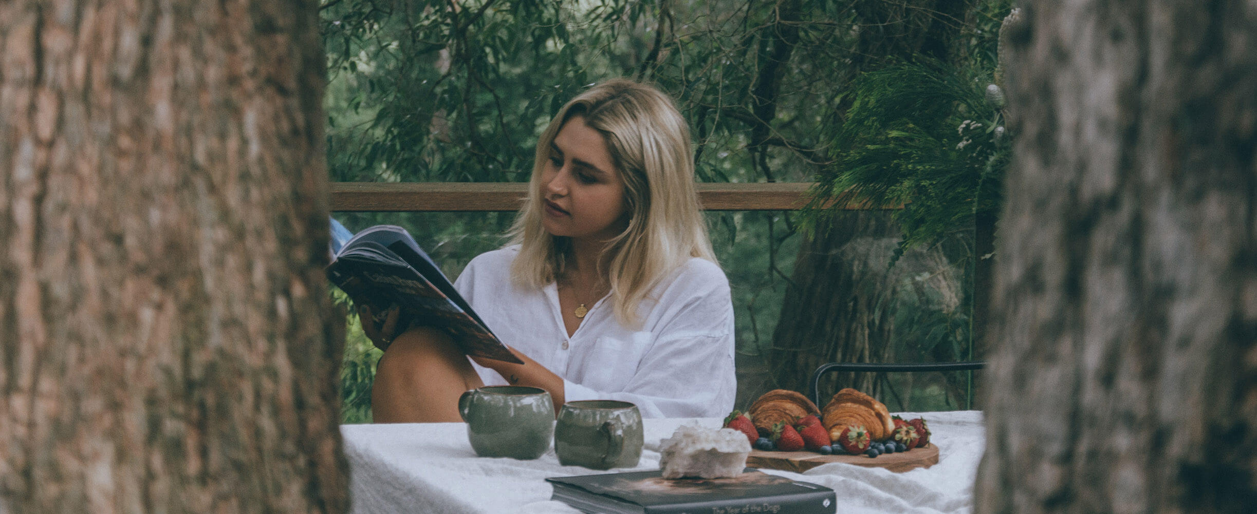 The Treehouse Bliss Properties Kangaroo Valley NSW