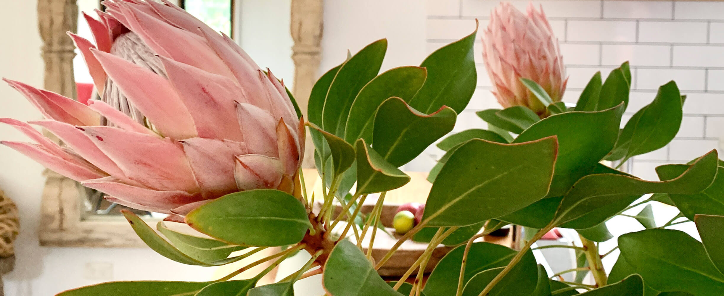 The Treehouse Bliss Properties Kangaroo Valley NSW